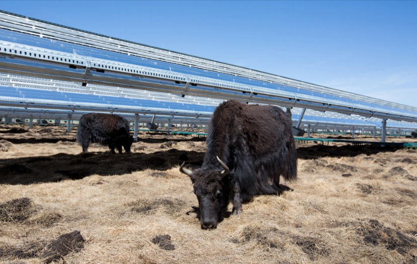 Apple sedang mencipta dana $300 juta untuk membina tenaga solar di China
